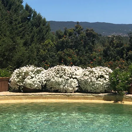 Encantadora Casa Ibicenca Villa Sant Josep de sa Talaia