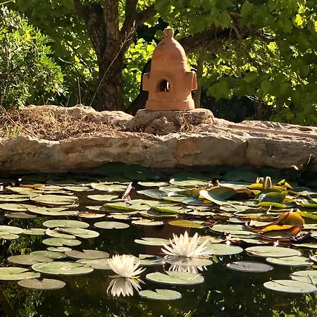 Encantadora Casa Ibicenca * Sant Josep de sa Talaia