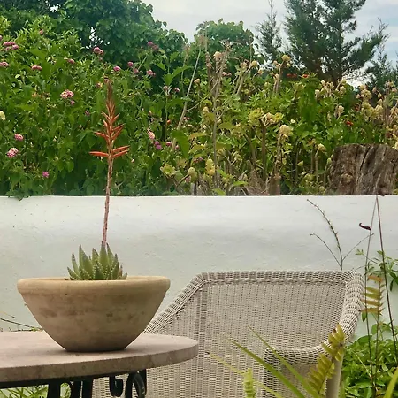 Encantadora Casa Ibicenca Villa